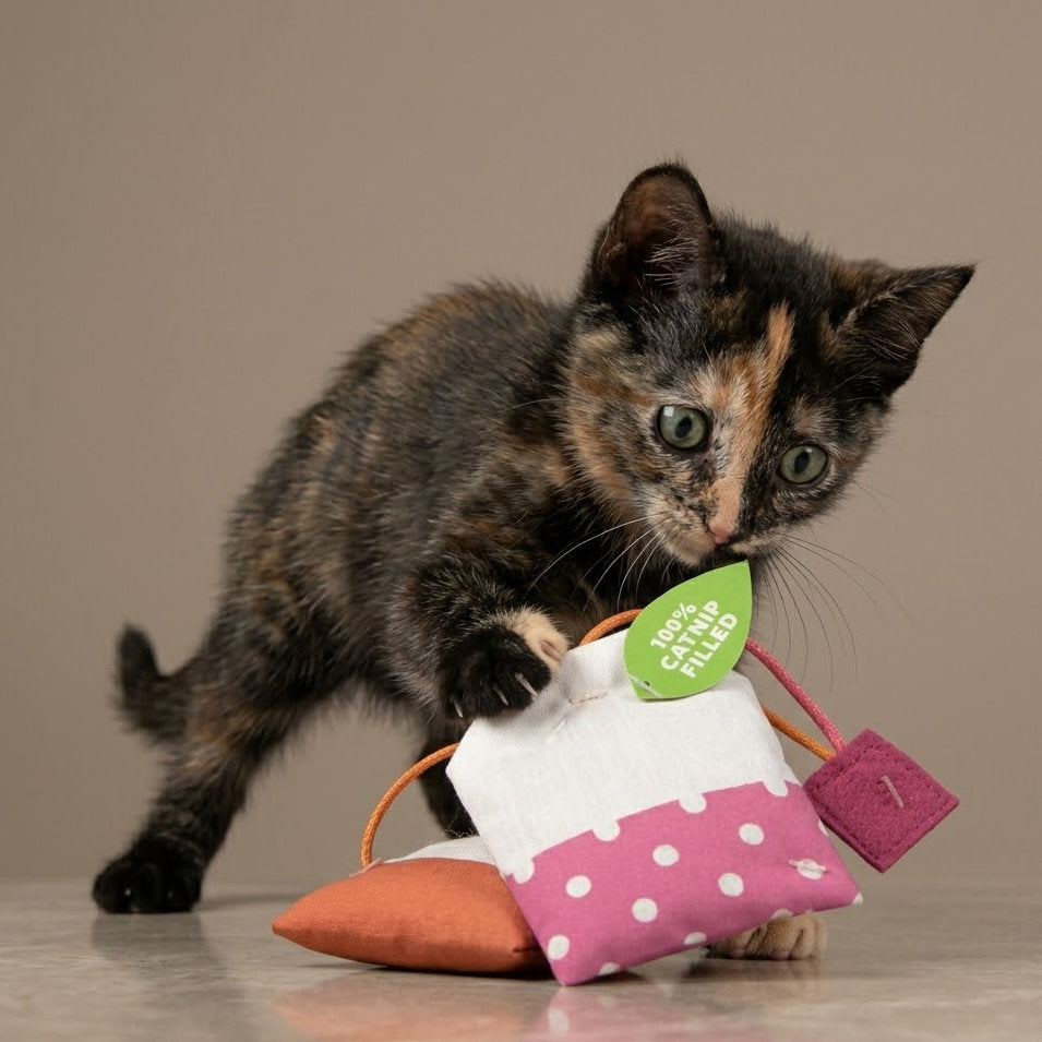 Junavex Catnip Tea Bag Toy (2-Pack) - 100% Premium Natural Catnip Filled, Durable Canvas Kicker Toy for Indoor Cats, Kittens Hunting & Batting Fun